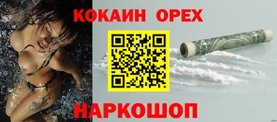 молекула духа Будённовск