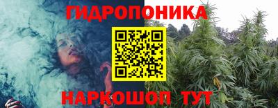 молекула духа Будённовск