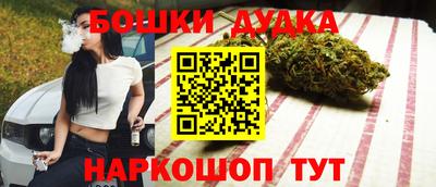 молекула духа Будённовск